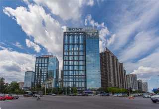 青岛小型台式桌面摇床售价