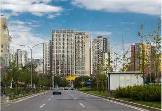 金山区一站式撸猫店铺